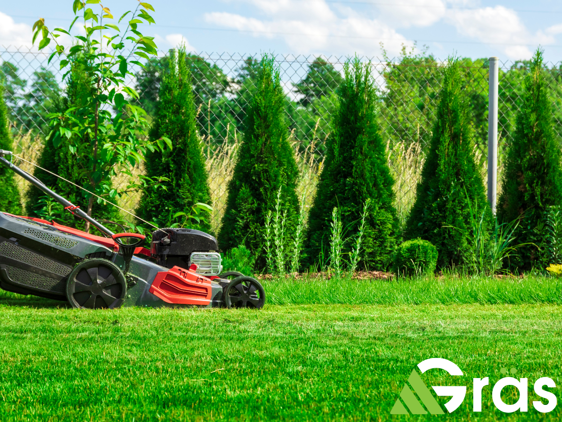 west palm commercial landscaping