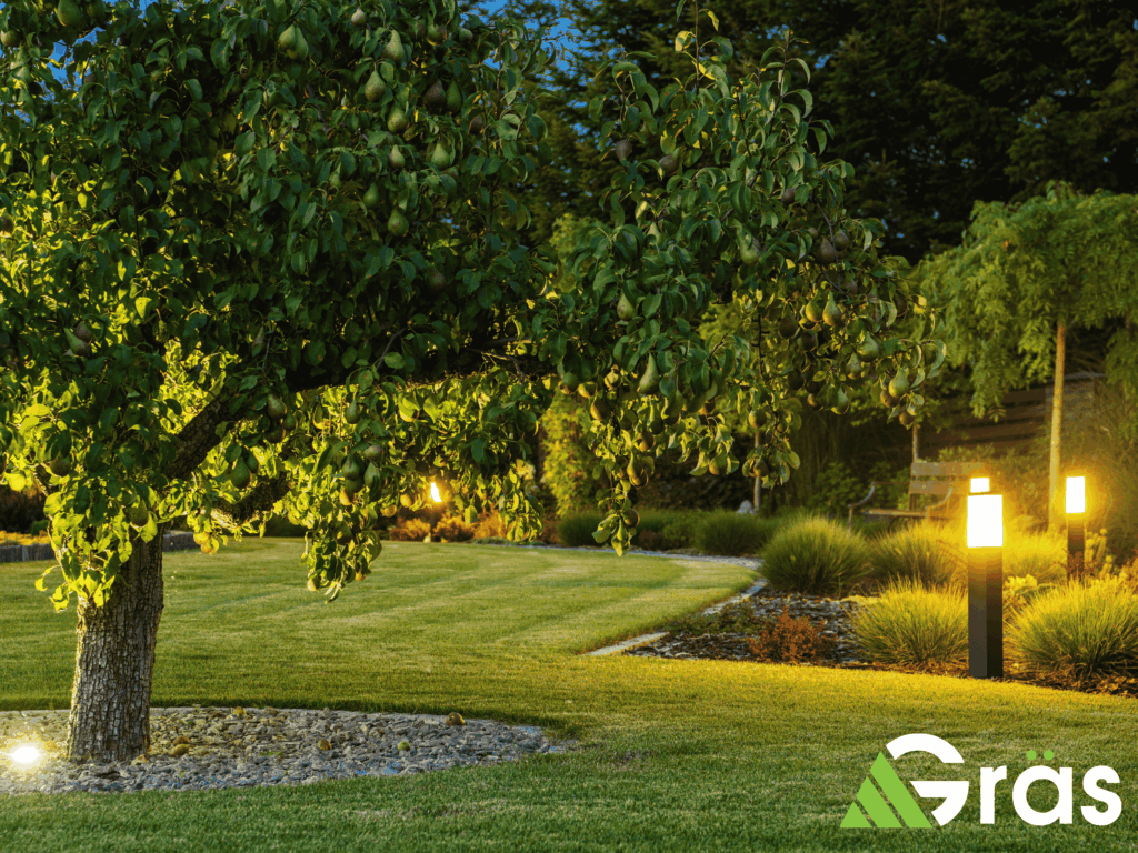 deerfield beach commercial landscaping