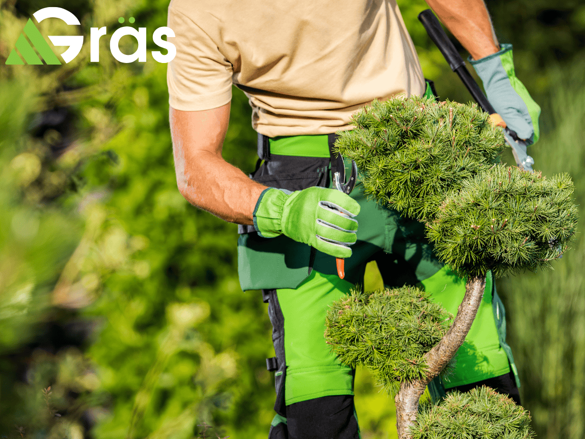 Commercial Landscaping in Columbia, MD