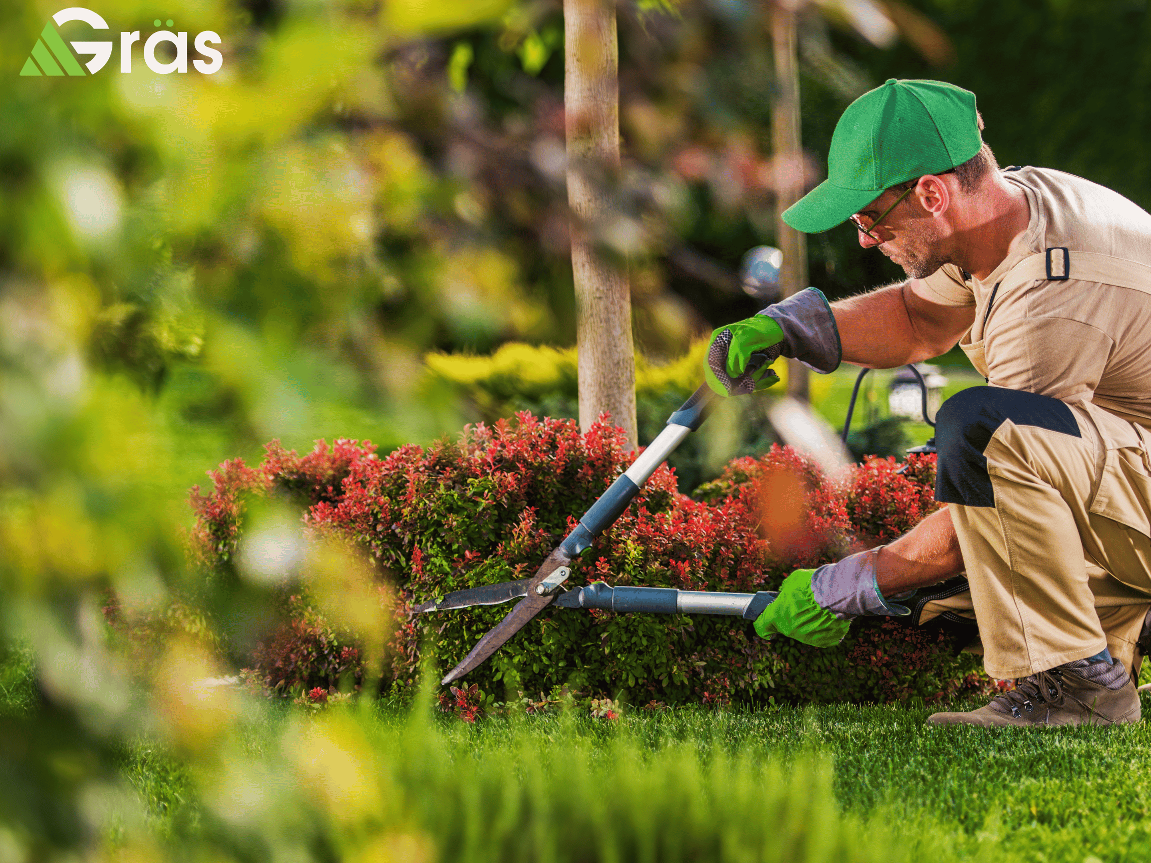 Commercial Landscaping in Waterbury